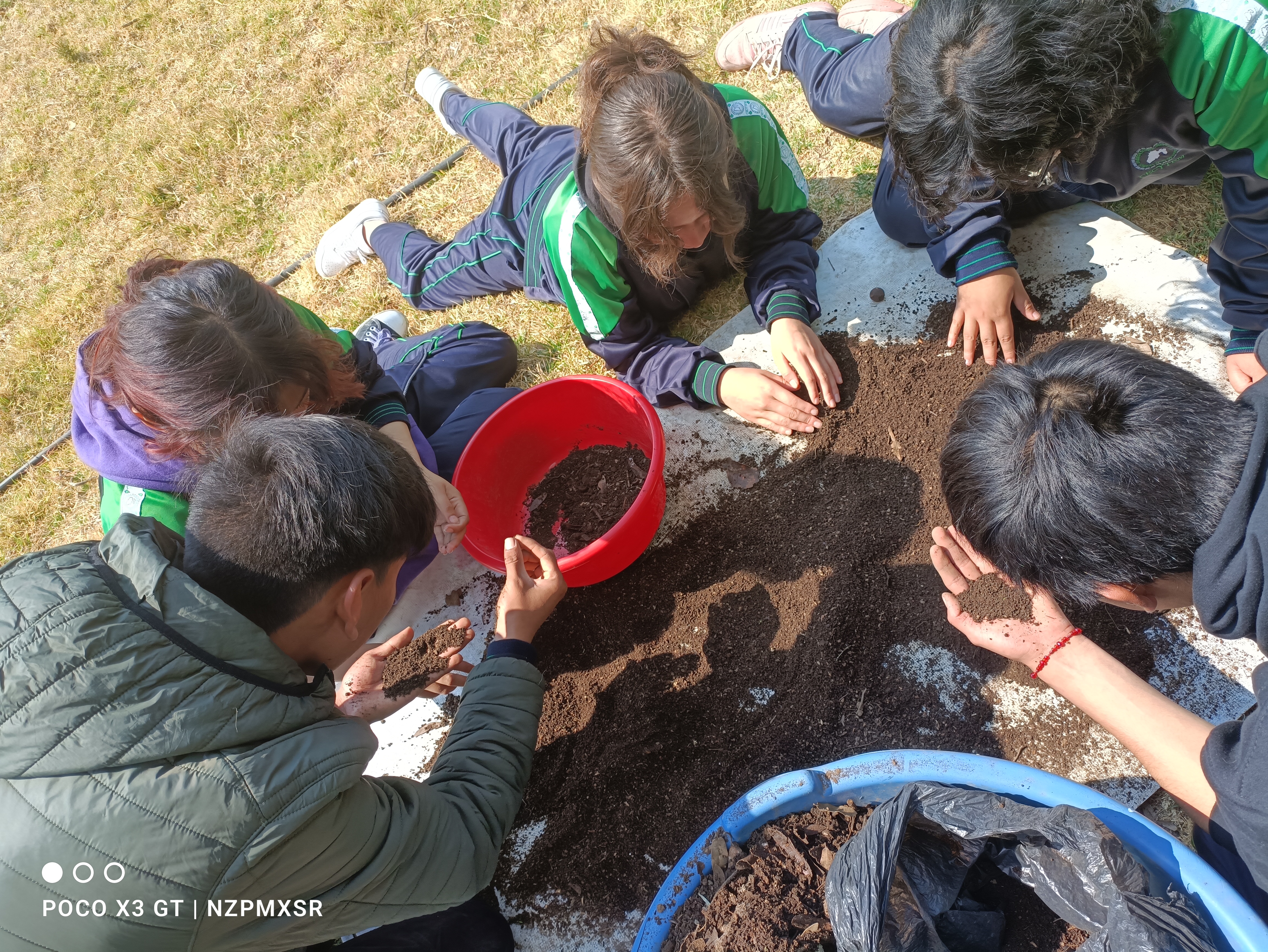 Descripción de la imagen 4