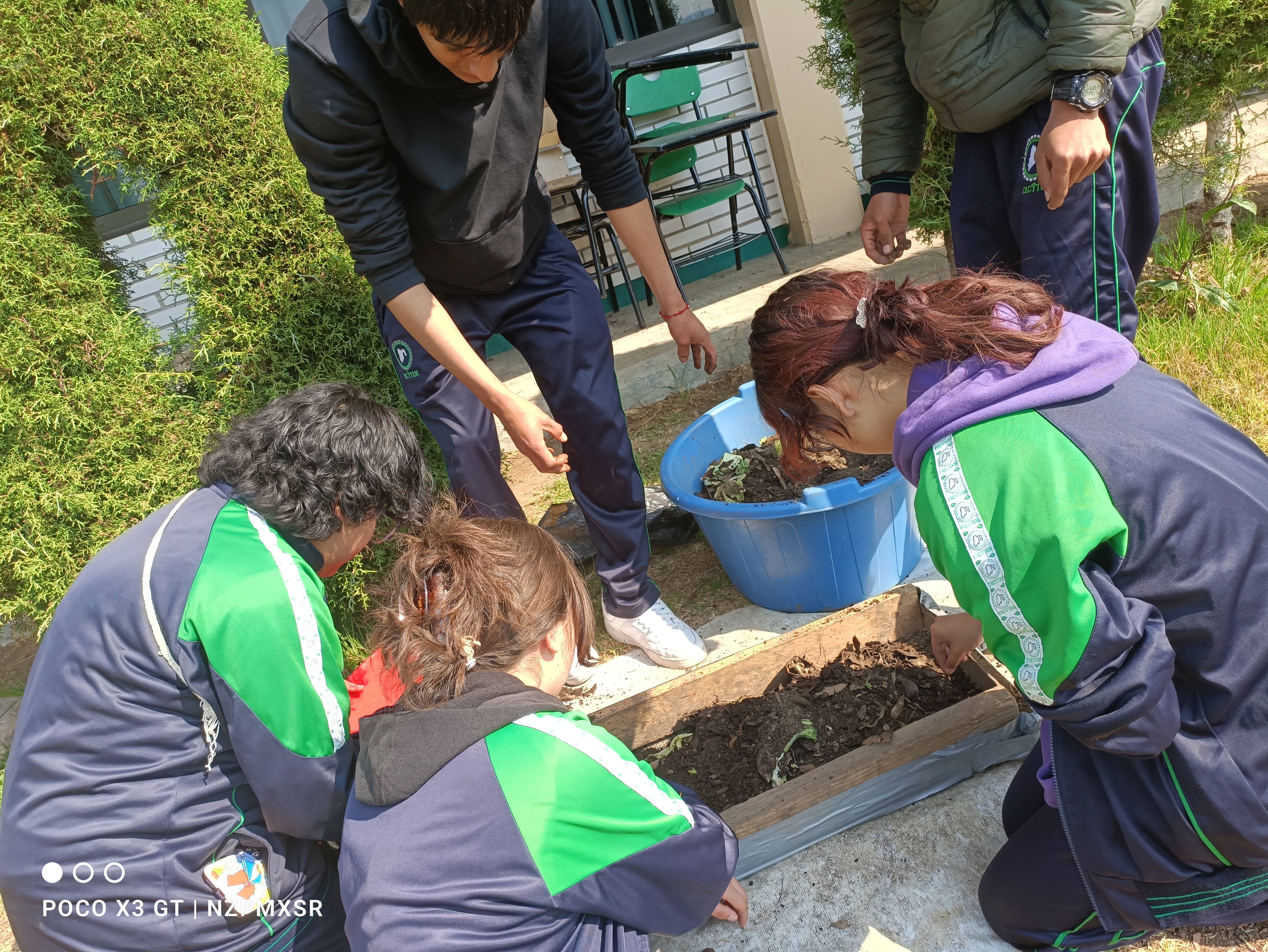 Descripción de la imagen 4