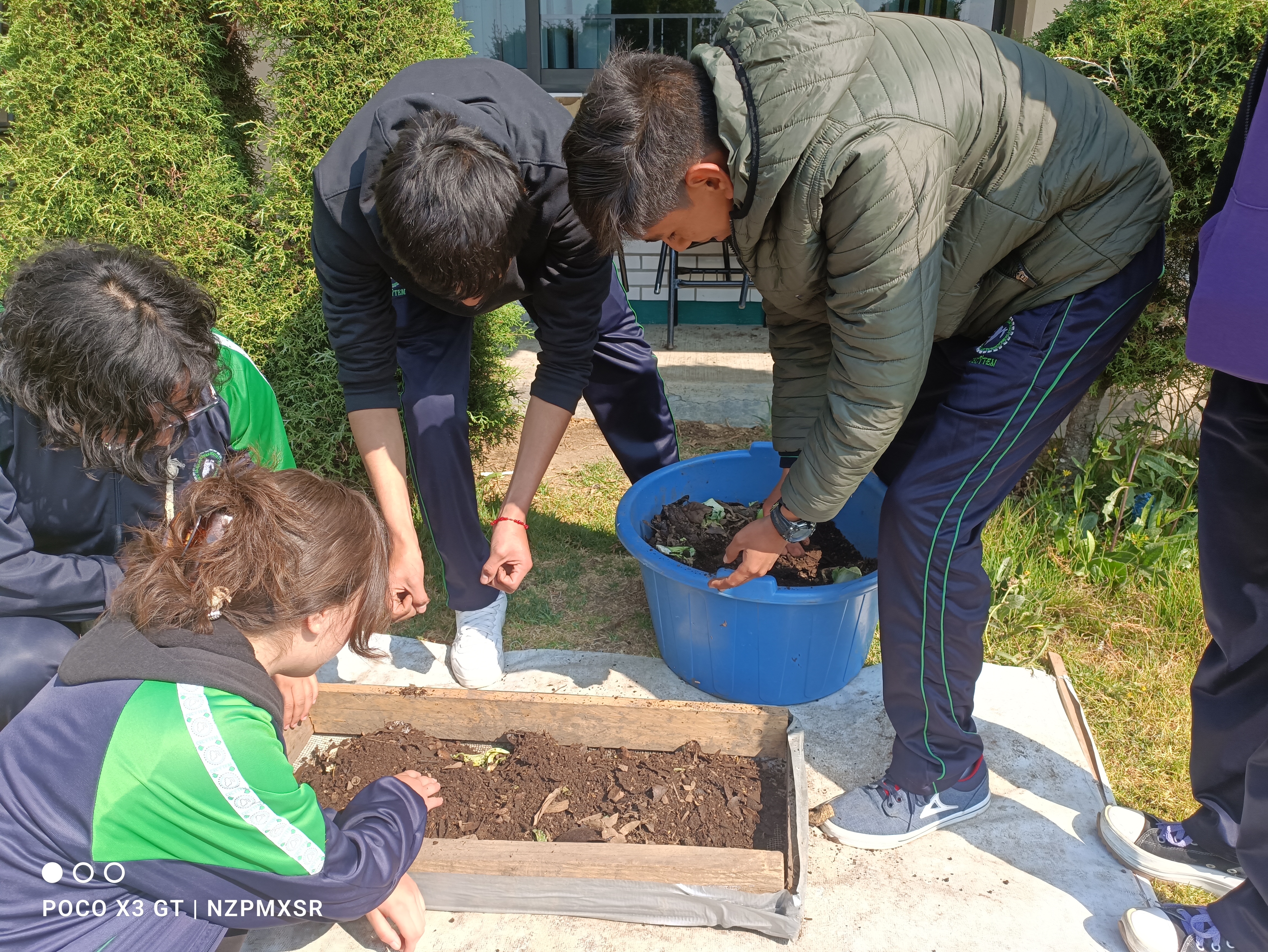 Descripción de la imagen 4