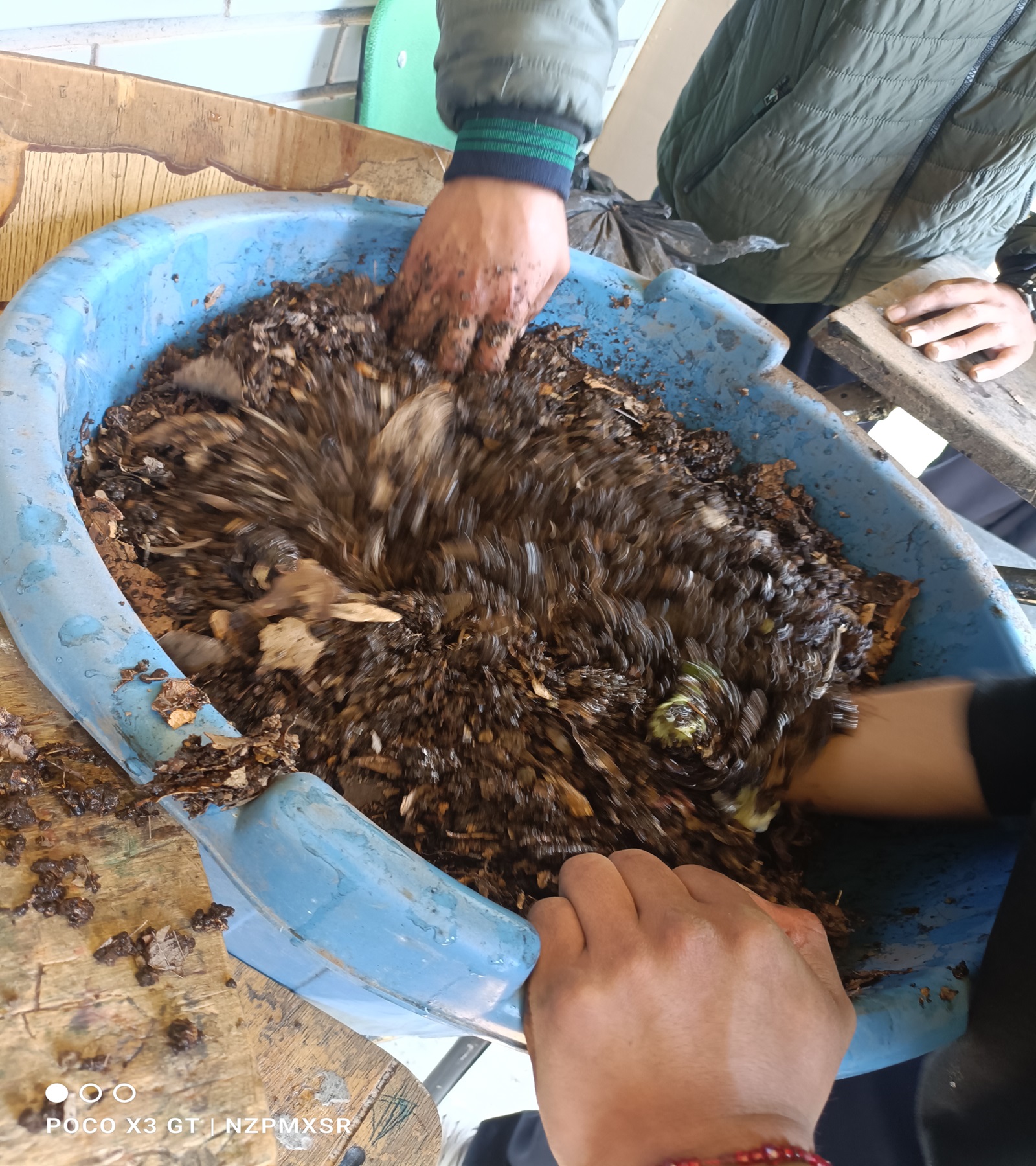 Descripción de la imagen 2