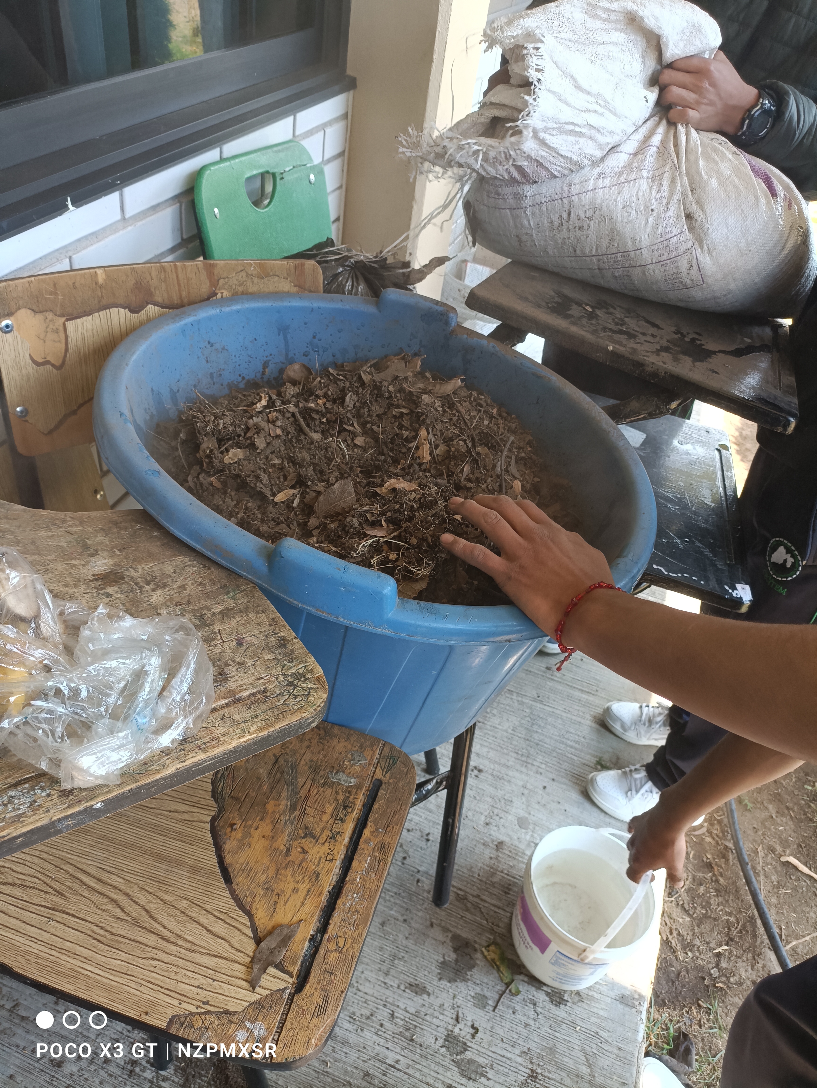 Descripción de la imagen 3