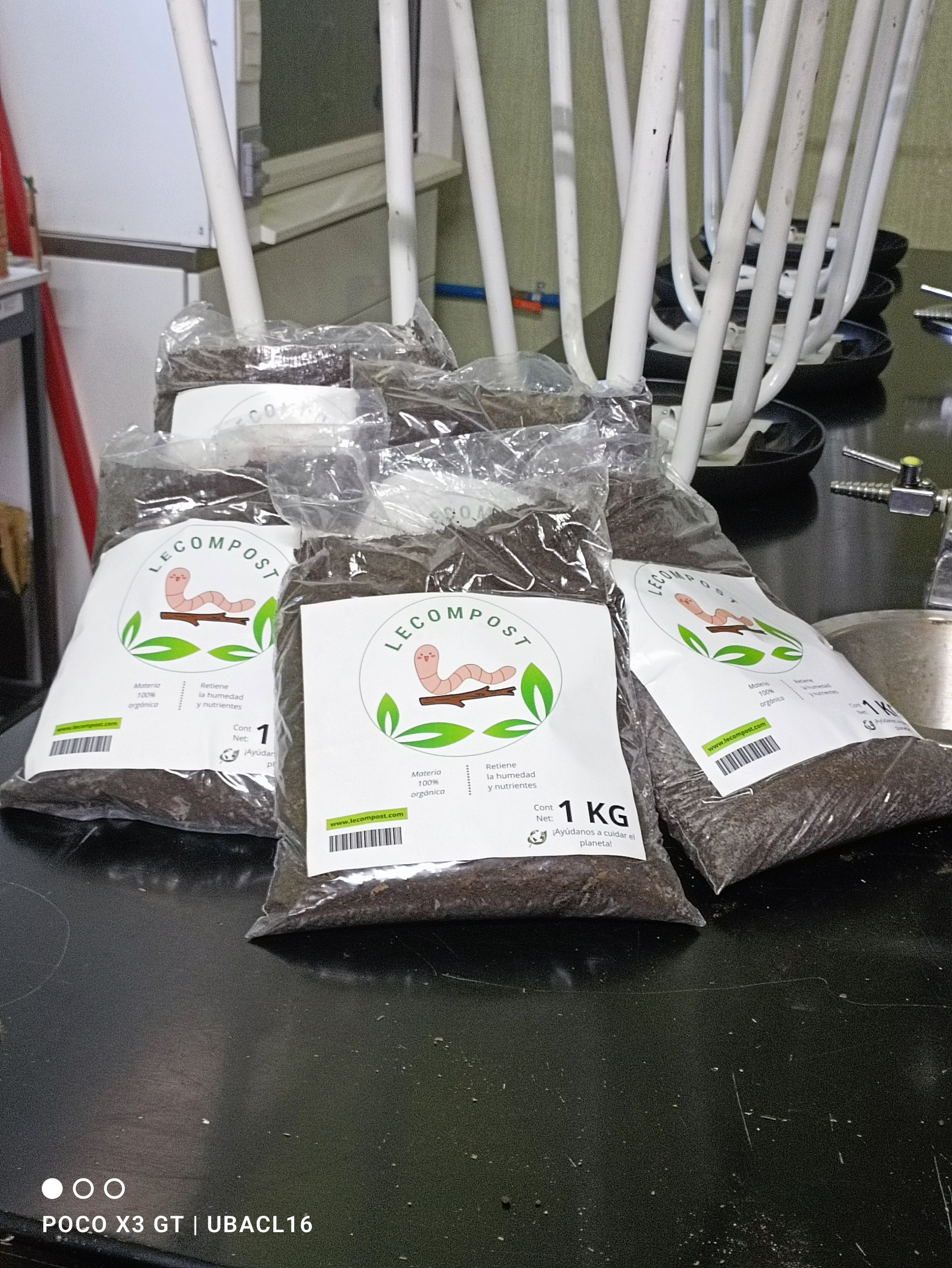 Descripción de la imagen 4