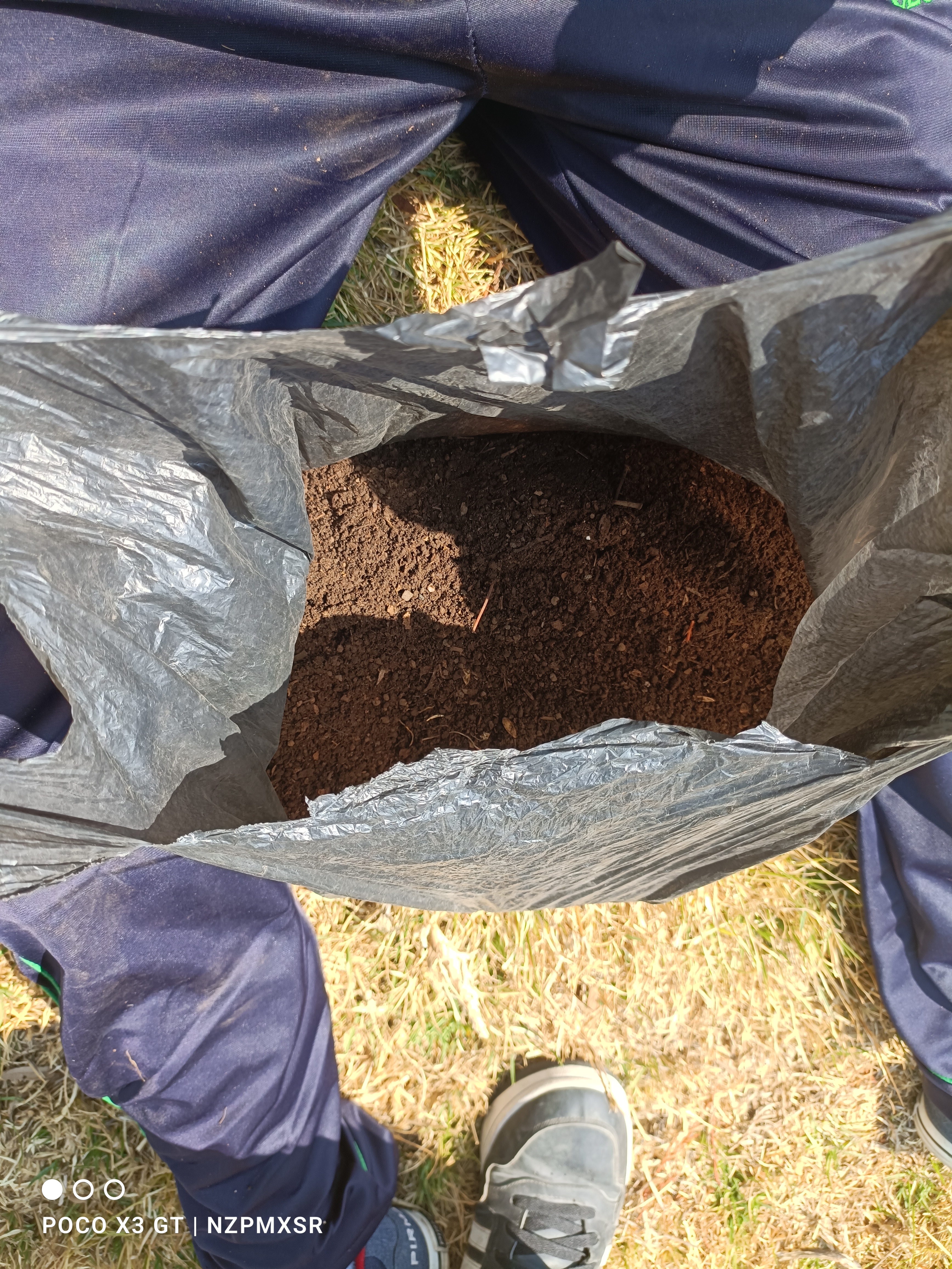 Descripción de la imagen 4