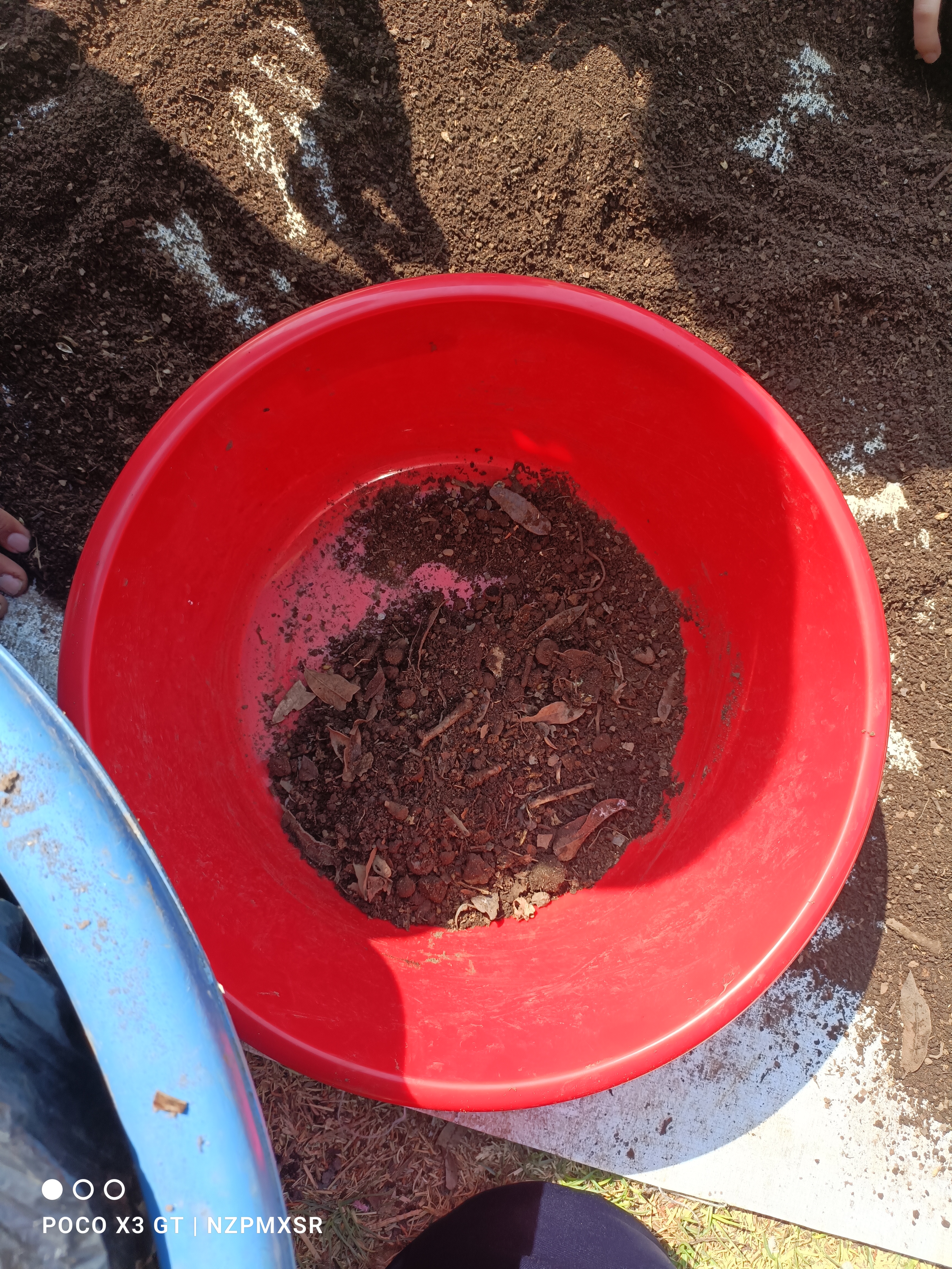 Descripción de la imagen 4