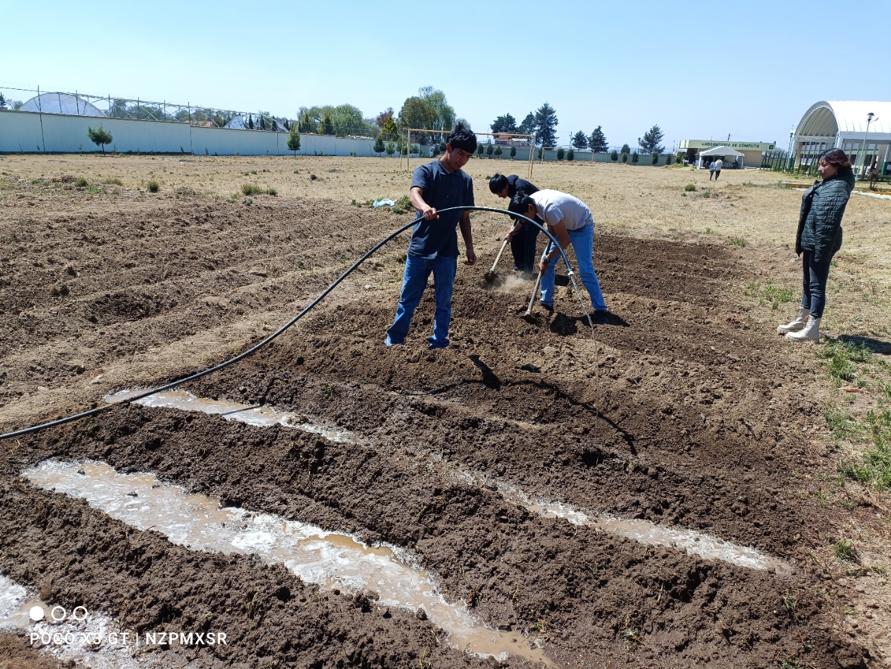 Descripción de la imagen 1