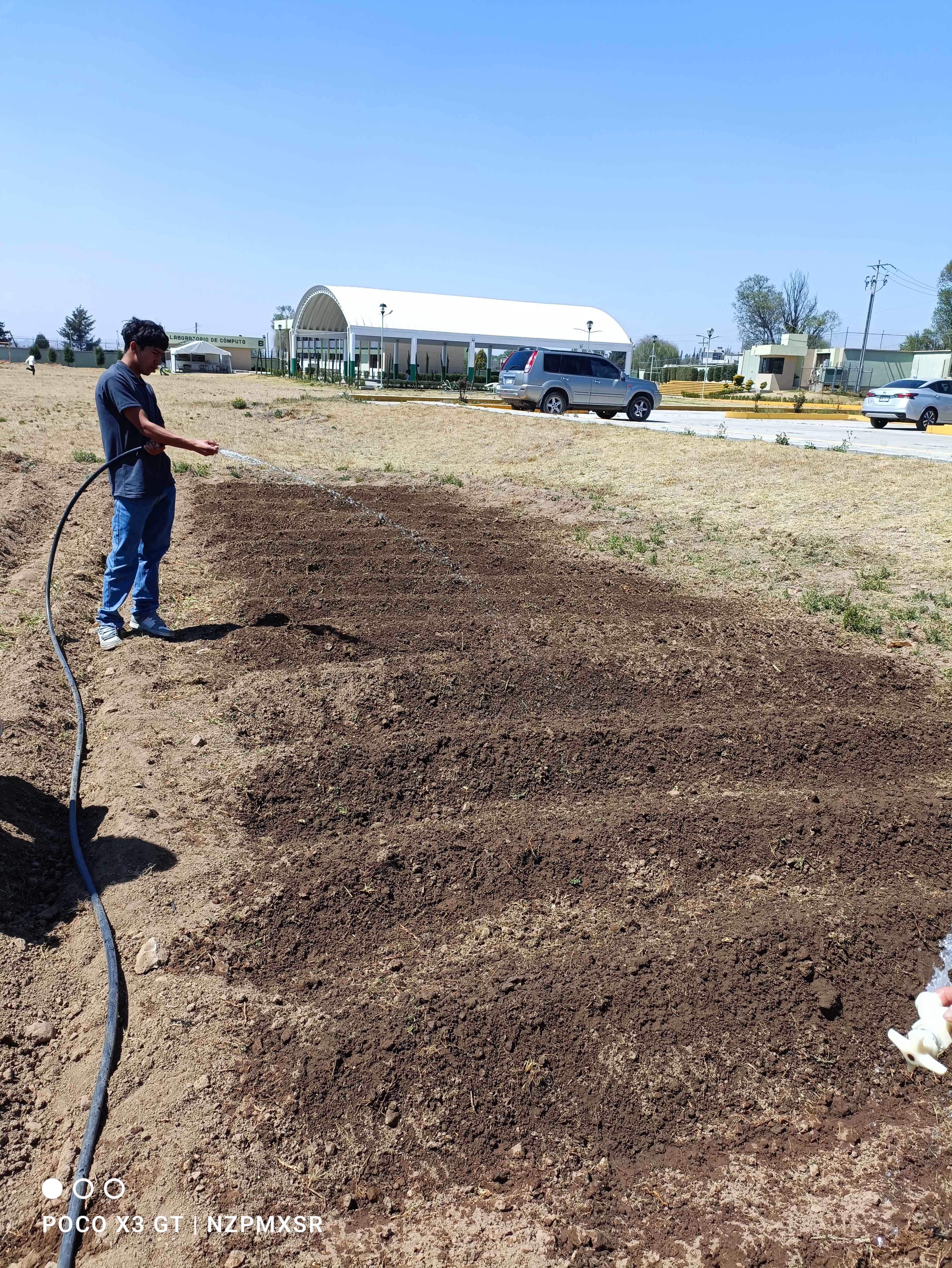 Descripción de la imagen 4